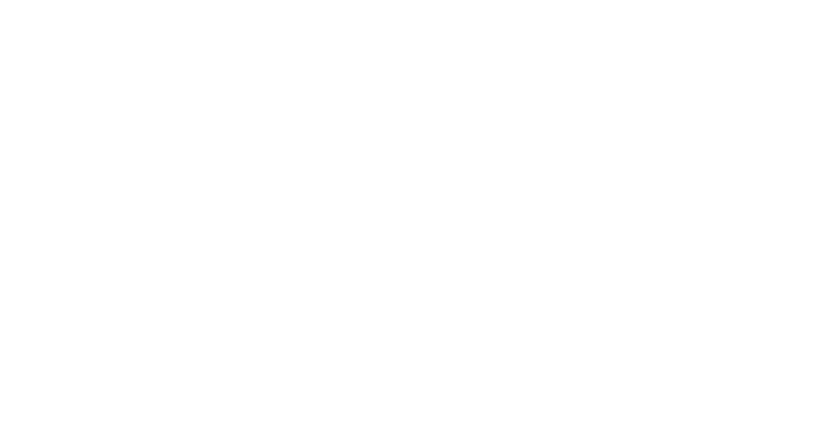 Официальный беттинговый партнер MIBR